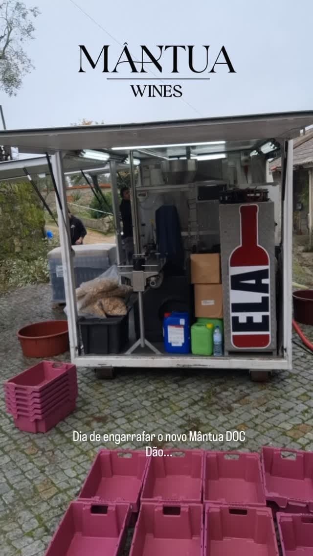 Dia de engarrafar o novo Mântua DOC Dão